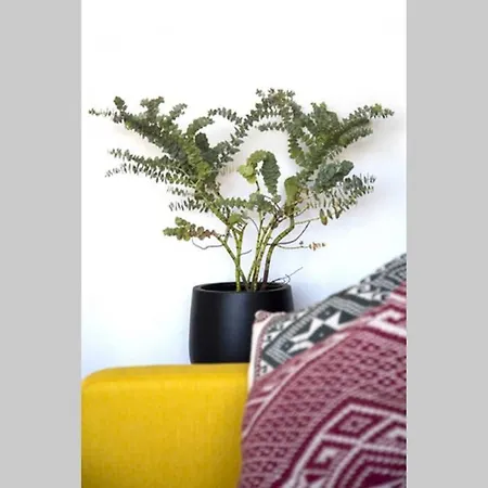 شقة Juan Les Pins, Pres De La أنتيب